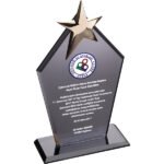 Kristal Plaket || EKT-170-FM Kristal Plaket