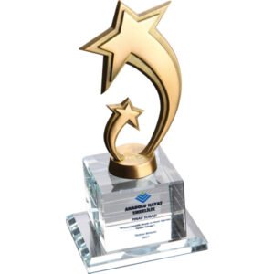 Kristal Plaket || EKT-230 Kristal Plaket
